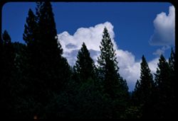 Clouds above Sierra Nevadas Sierra county