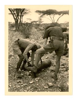 Hunting guides beheading antelope