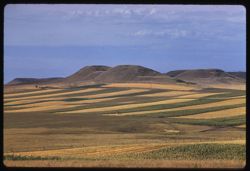 Patterned fields east of Dickinson  North Dakota