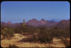 Roskruge Mtns. seen from Tucson-Ajo road