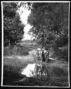 Team crossing ford on Bear Creek