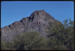 Cat Mountain - Tucson Mtns. also Palos Verdes