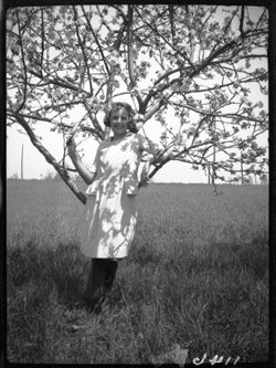 Marian Gravis in apple tree at Kinnear's