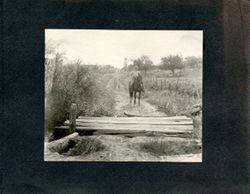 Snapshot of unknown man on horse