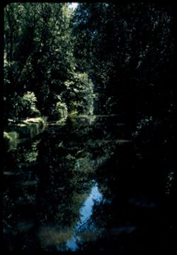 Dupage river at Morton Arboretum