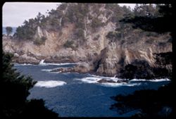 Cypress cove at Point Lobos on Carmel Bay, California