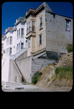 Up east side of Coleridge St. at 97. West slope of Bernal Heights, San Francisco.