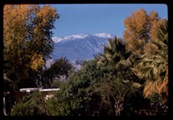 Mt. San Jacinto from Coachella Valley