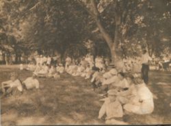 Group picnic