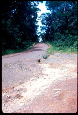 Tchien motor road