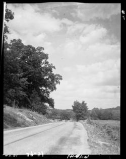 Road scene west of Stone Head, perp--talk with F. Thompson