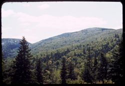 Tree-covered slopes of mountains of Mt. Desert Island, Me.