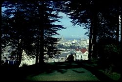 View N E from top of alamo Square San Francisco ANSCO