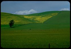 Hills at north end of Livermore Valley