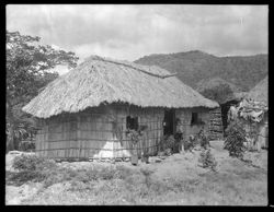 Thatched hut near main highway, north of Santiago