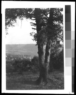 Ohio River from Clifty Falls State Park