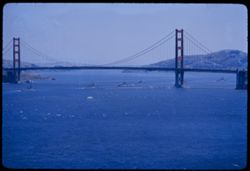 Destroyer line of US First Fleet entering Golden Gate