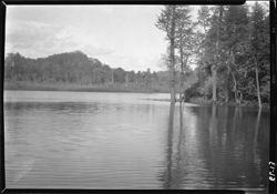 Lake at Marmon place, Pineola