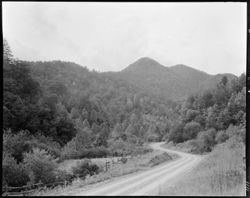 Road beyond Linville Falls, North Carolina, towards Asheville (orig. neg.)