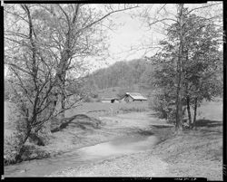 The Charley Taylor farm from Helmsburg road (orig. neg.)