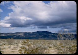 Mojave Desert. From US 6, 10 miles north of Ricardo, Calif.