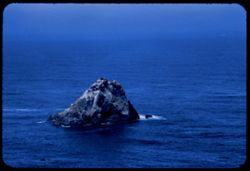Seal and bird Rock Trinidad Bay Humboldt co., Calif.