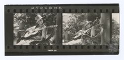 Item 0074a. 2 1/3 contact prints on one strip.