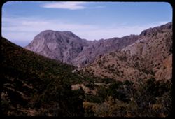 View west down canyon from Lost Mine Trail.  Big Bend Nat'l Park.