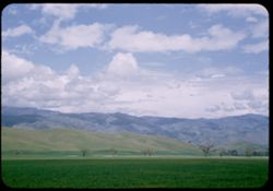 Kern county landscape from US 466 approaching Tehachapi Mtns.