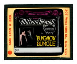 Bungalow Bungle