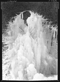 Ice formations on bushes top of town hill, south
