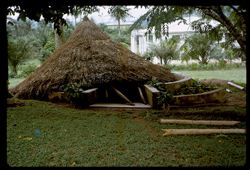 Termites bring down palaver hut (support posts destroyed)