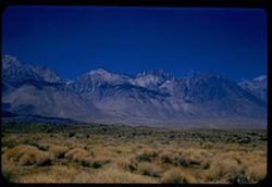 from Owens valley 13 miles south of Big Pine west toward Sierra Nevada