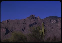 Santa Catalina Mtns seen from Foothill road and Campbell Ave., Tucson