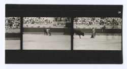 Item 0129a. Three scenes of the bull fight all long shots. 2 1/3 prints.