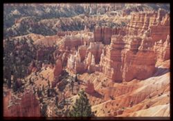 Bryce Canyon. Queen's Garden from Sunset Pt. In morning