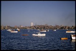 Downtown Boston across Charles River Sunday regatta.