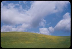 Green hill along Camino Tassajara Alameda County California