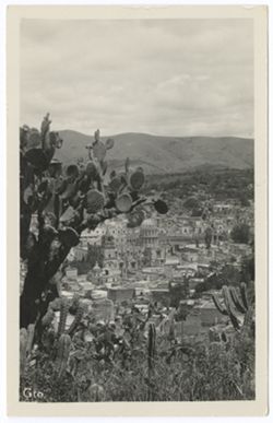taken from hillside with cactus plants in foreground., Item 66. View of city in valley