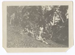 Item 0590. Four unidentified men on a grassy hillside, palm trees behind them.