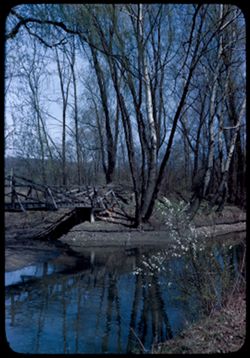 Du Page river in Arboretum, W.