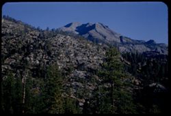Leavitt Peak (11,575 ft.) seen from Sonora Pass. Tuolumne co., Calif.