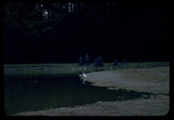 P10938.jp2