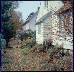 Sides of houses, with trees and shrubs