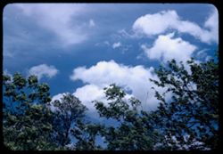 Clouds seen over trees near Circle garden, Jackson Park