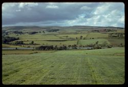 Scotland's fields seen from Glasgow to Edinburgh moving train