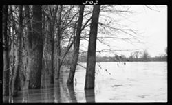 Flood at Broad Ripple, March 28, 1913, 12 p.m. to 1 p.m., with Berry, met Elwood E. Dean, custodian at Kingan's ice plant, pump at Del. & Mass. Ave
