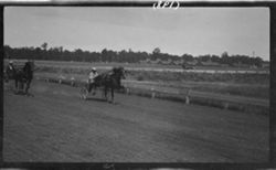Race Horses, fairground tracks, June, 1911