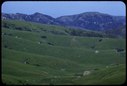 Green hills and valleys Petaluma Marshall rd. Marin county