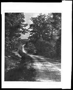 Road in Brown County State Park